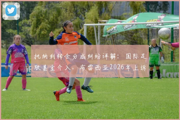 托纳利转会分成纠纷详解：国际足联基金介入，布雷西亚2026年上诉依据与球员分成规则全解析